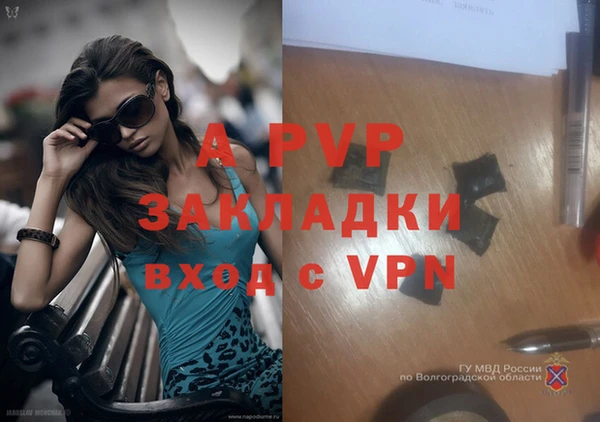 ECSTASY Богородск