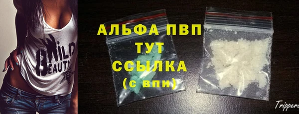 скорость Богданович
