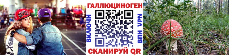 Псилоцибиновые грибы Magic Shrooms  KRAKEN зеркало  Тбилисская 